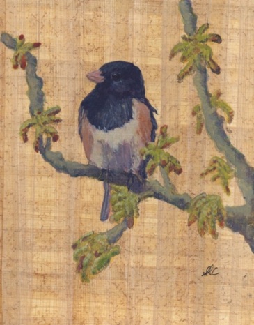 Junco on Budding Garry Oak Branch
Watercolor on Papyrus
8"x10"
