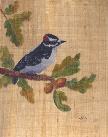 Downy Woodpecker on Garry Oak Branch
Watercolor on Papyrus
8"x10"